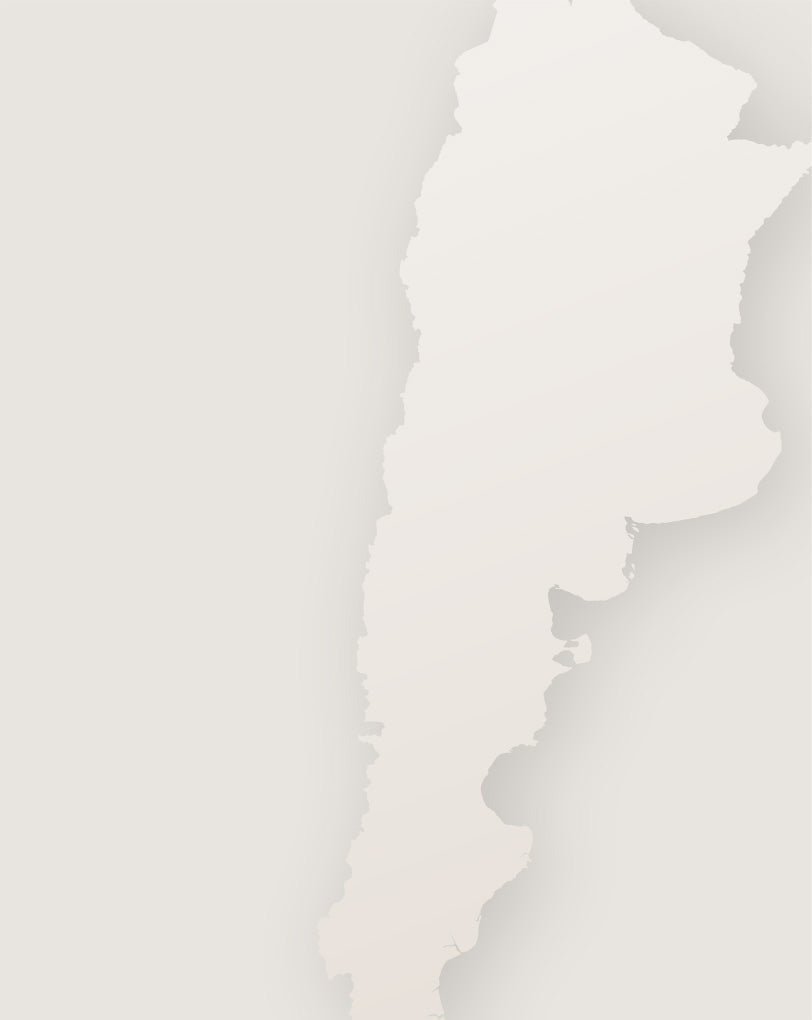 Hvidvine fra Argentina