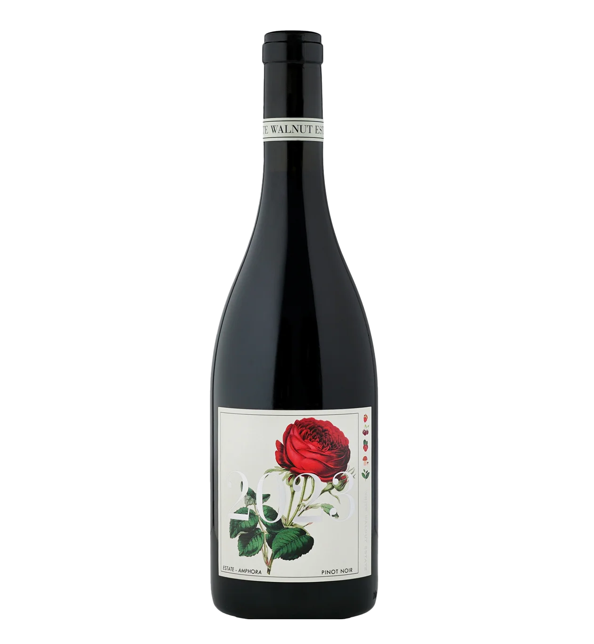 White Walnut Pinot Noir Amphora 2023