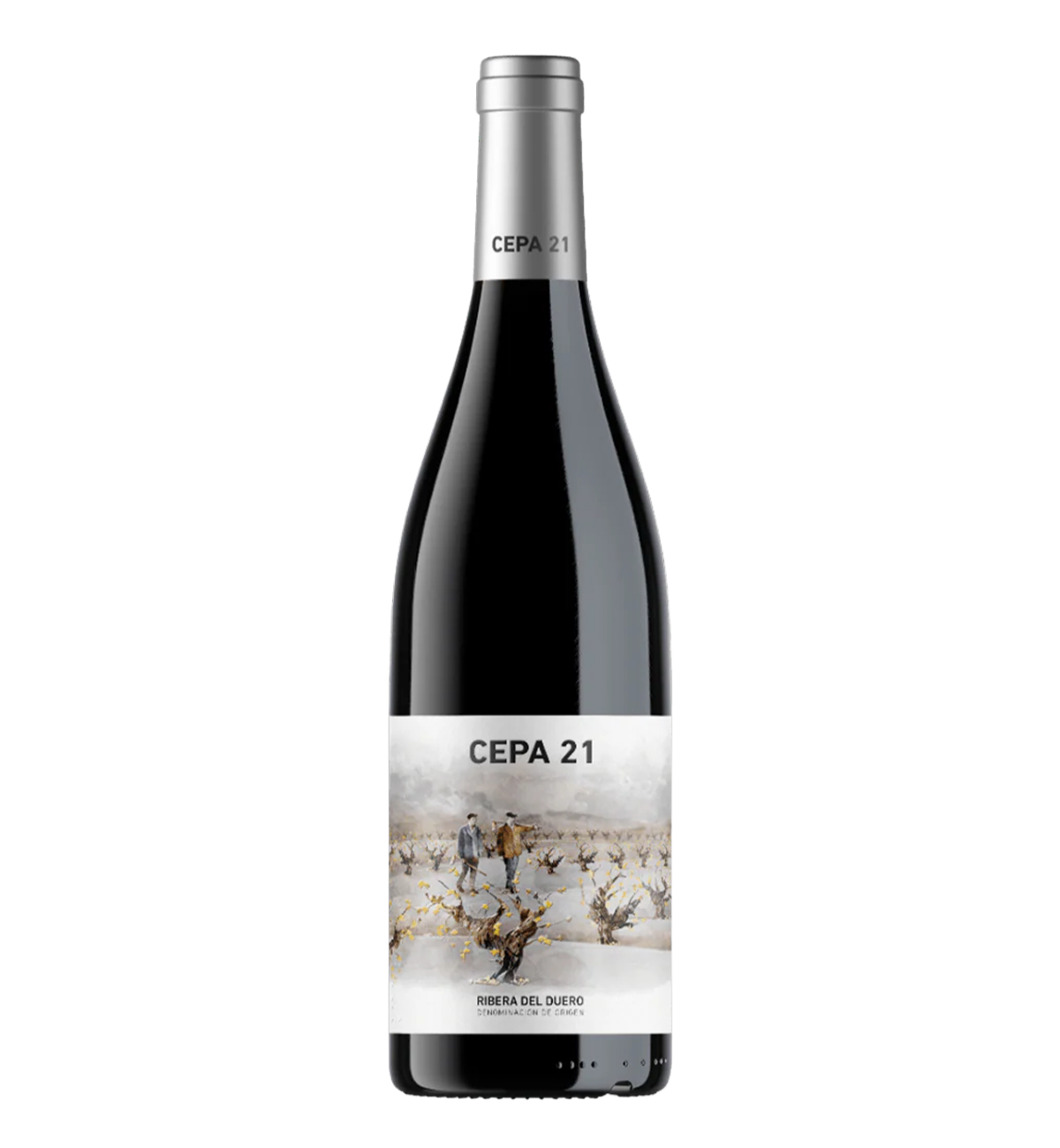 Bodegas Cepa 21 2022