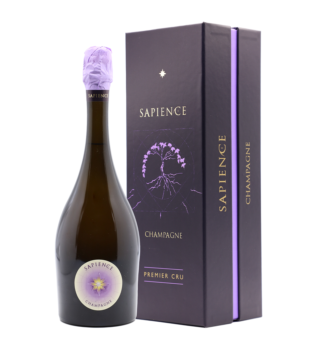 Champagne Marguet Sapience Brut Nature Premier Cru Bio 2010 (Enothéque)