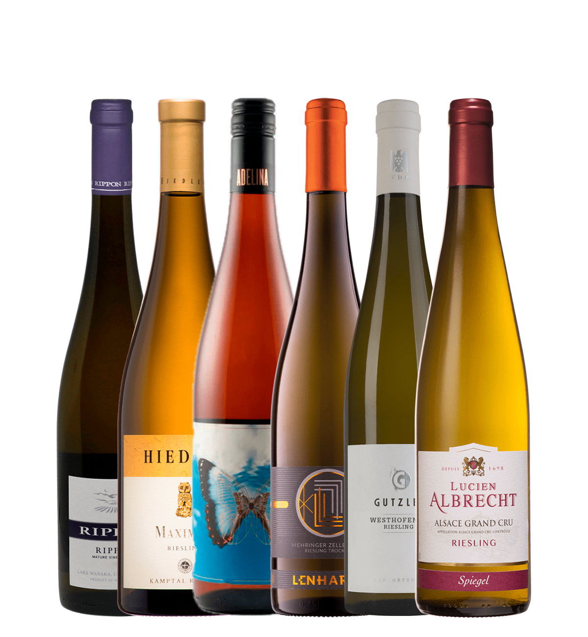 Riesling Premium Kassen – 6 flasker