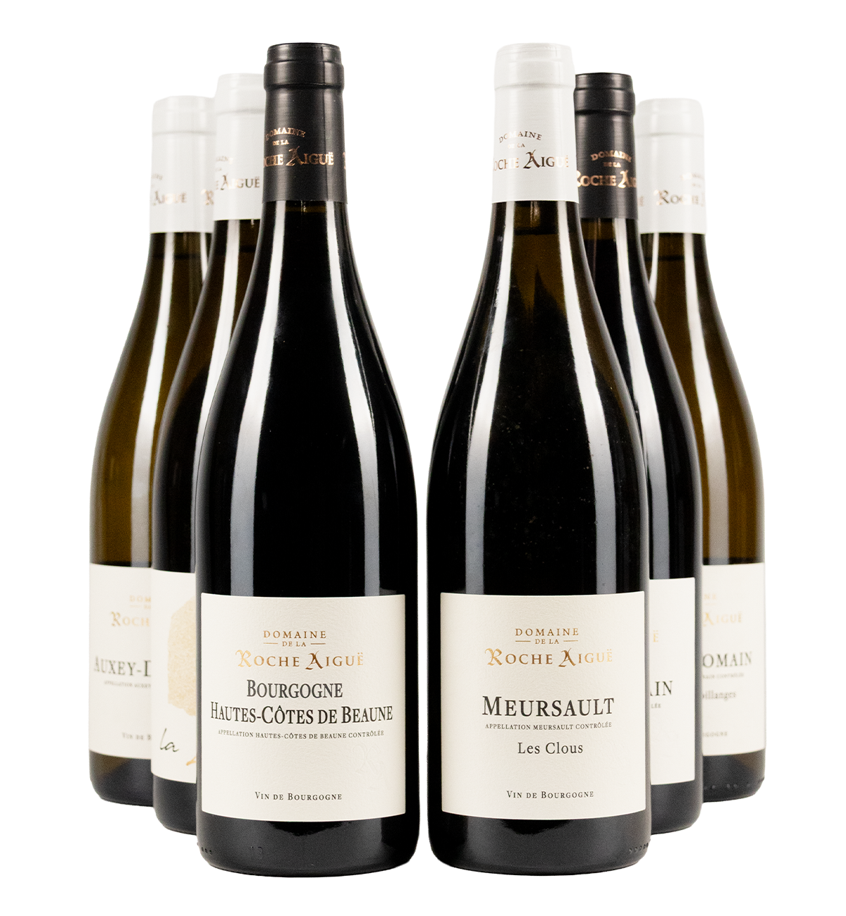 Domaine de la Roche Aiguë smagekasse (6 fl.)