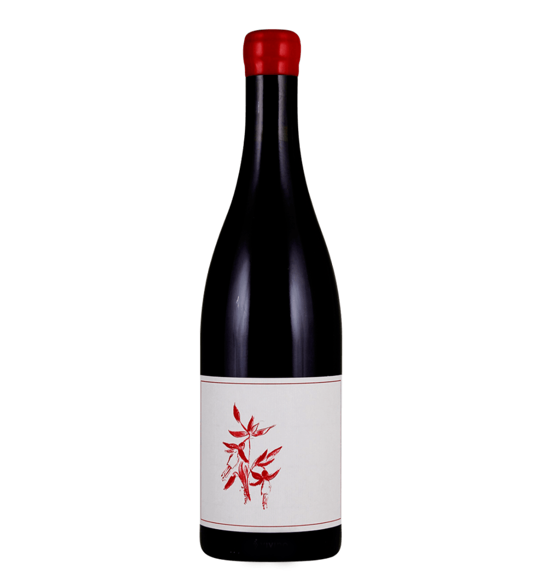 Gamay Noir, El Dorado 2023