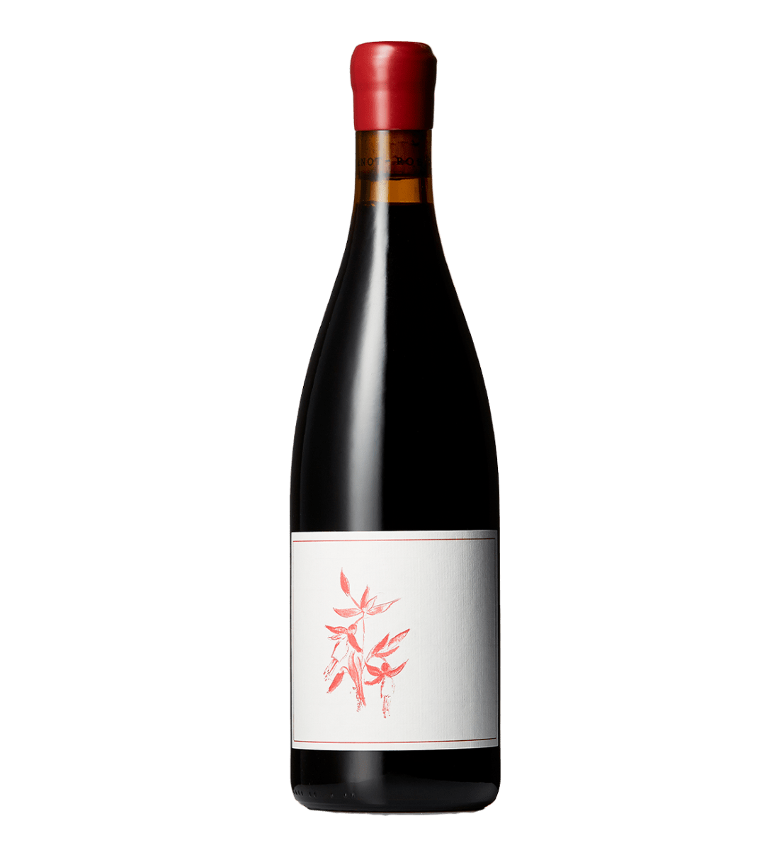 Arnot-Roberts Pinot Noir Heaven and Earth Vineyard 2021