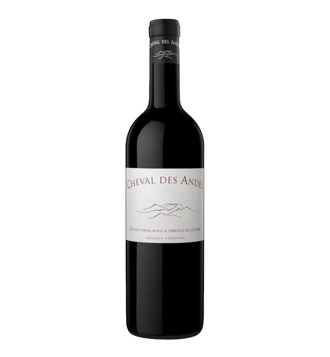 Cheval des Andes 2020