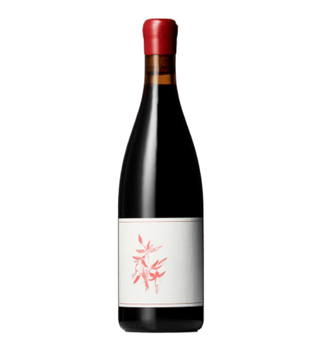 Peter Martin Ray Vineyard Pinot Noir 2023