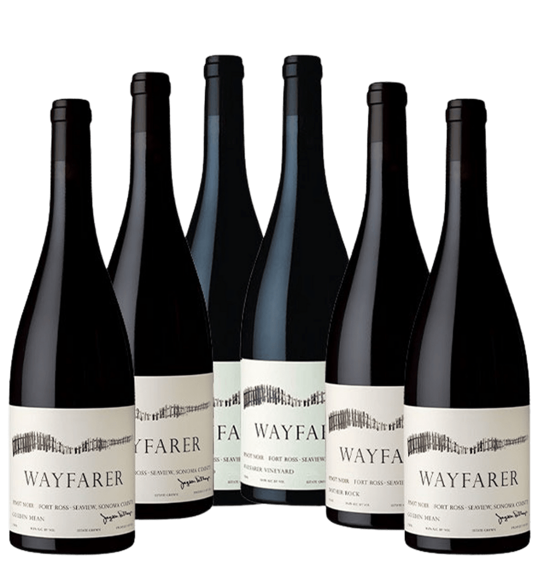 Wayfarer Estate Fort Ross-Seaview Pinot Noir 2016-2019 Special Library Vertical 6-pack-Limited Release
