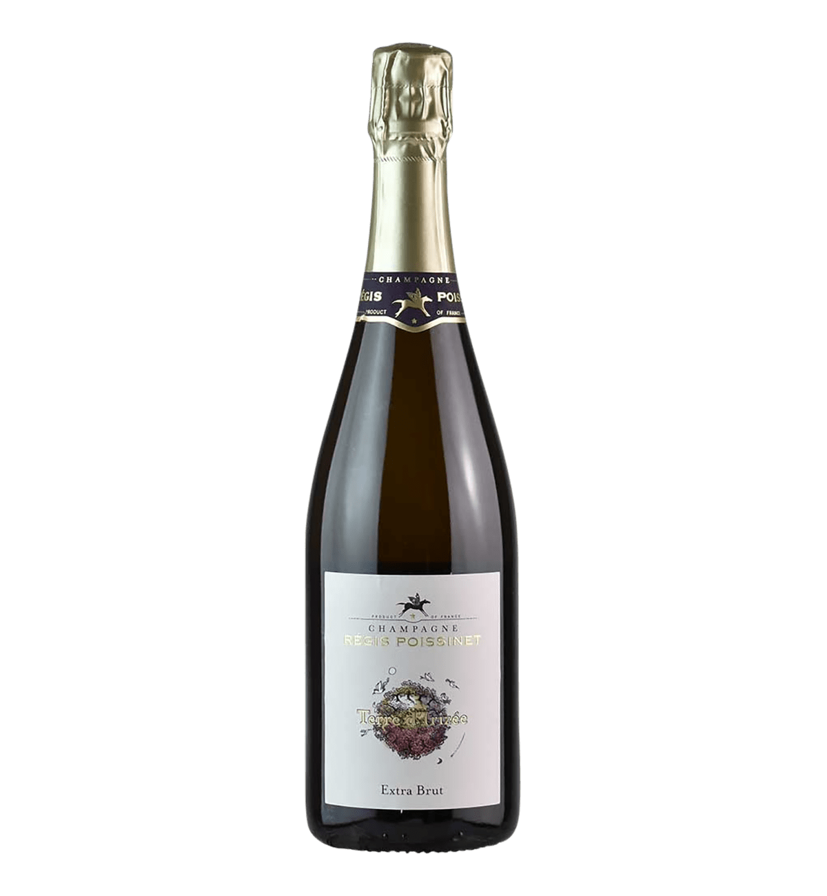Poissinet Régis-Champagne-Terre d&