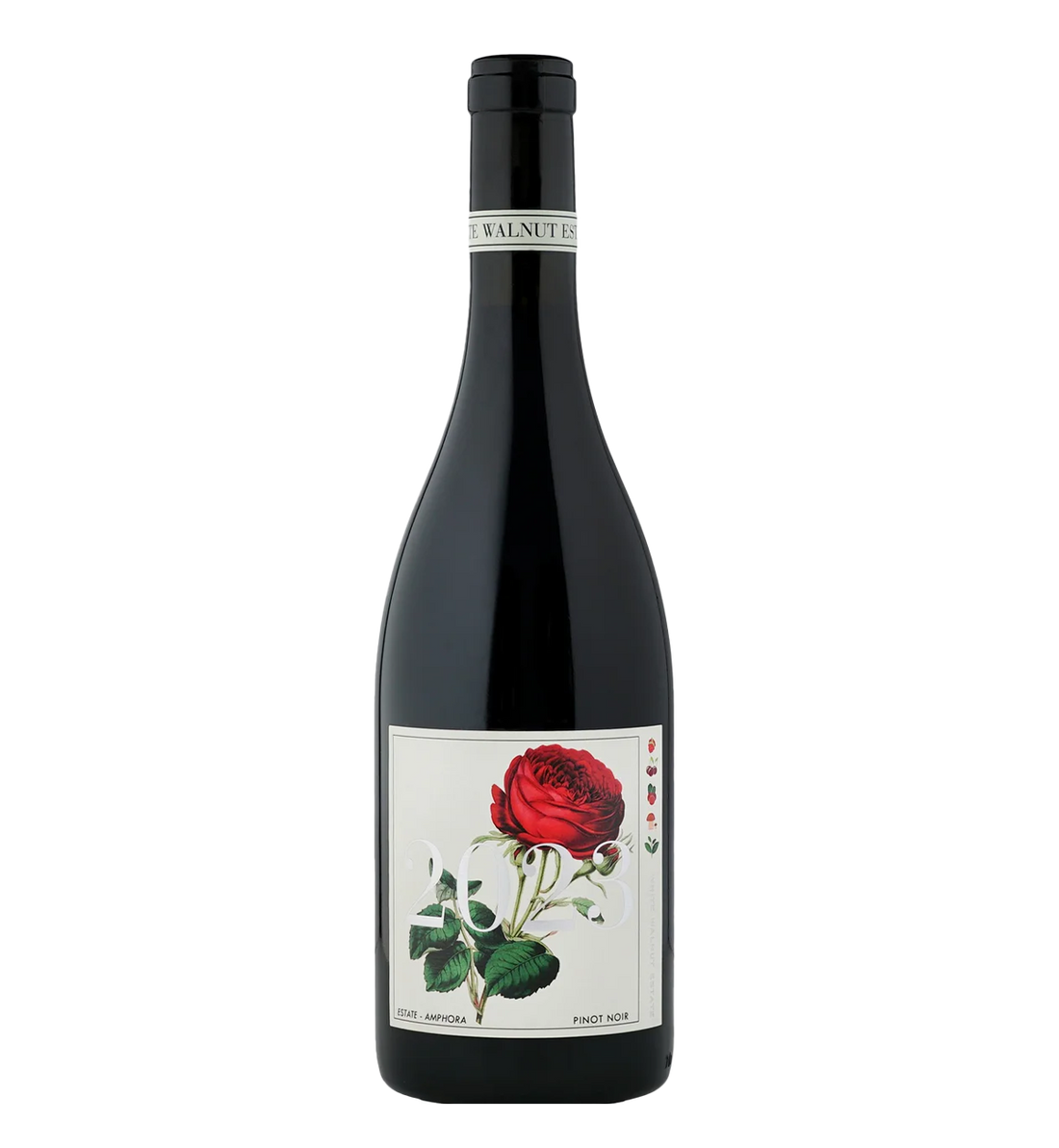 White Walnut Pinot Noir Amphora 2023