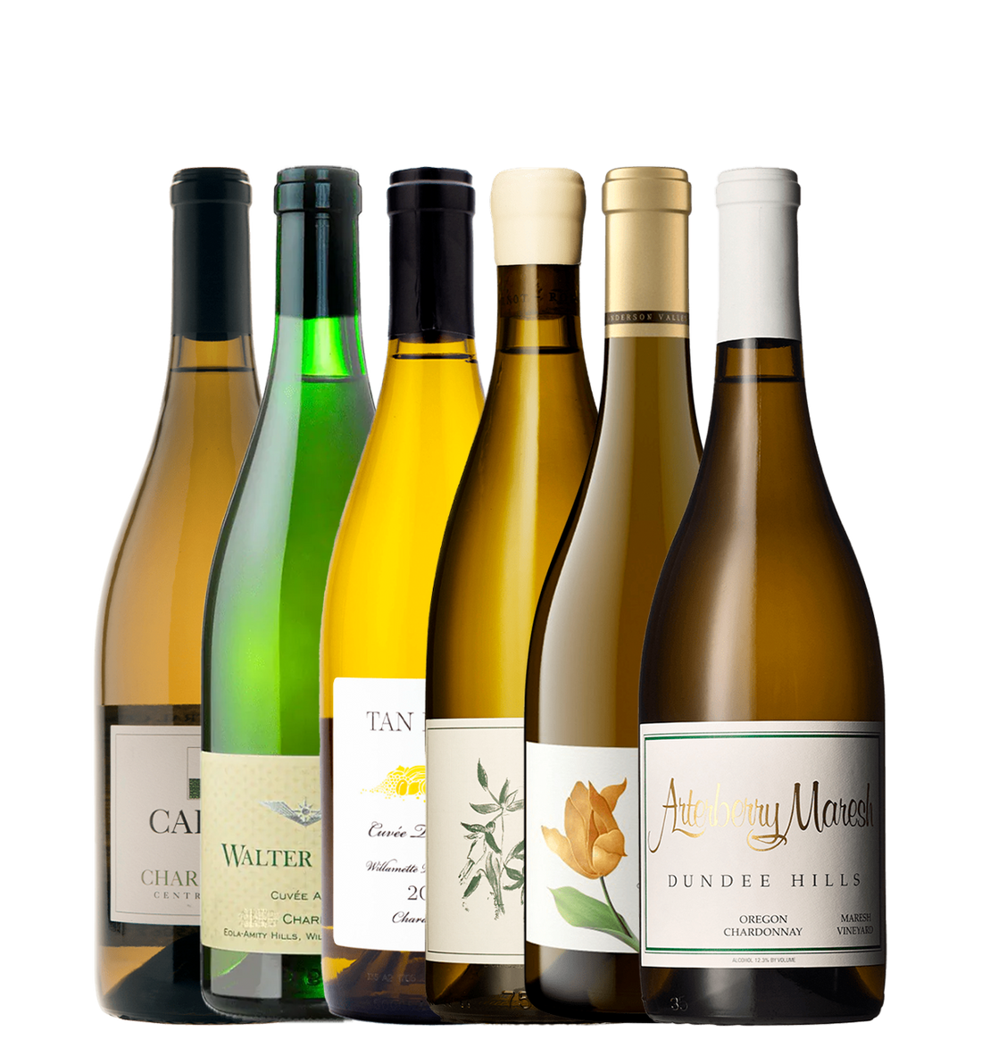 Oregon vs. Californien Chardonnay Battle Kassen – 6 flasker