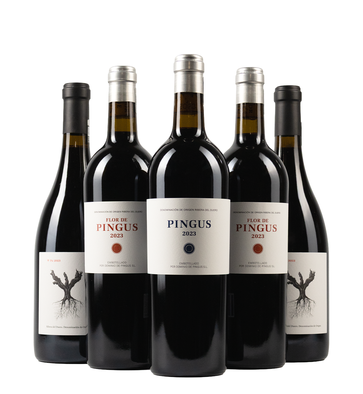 Pingus kassen (6 fl.)