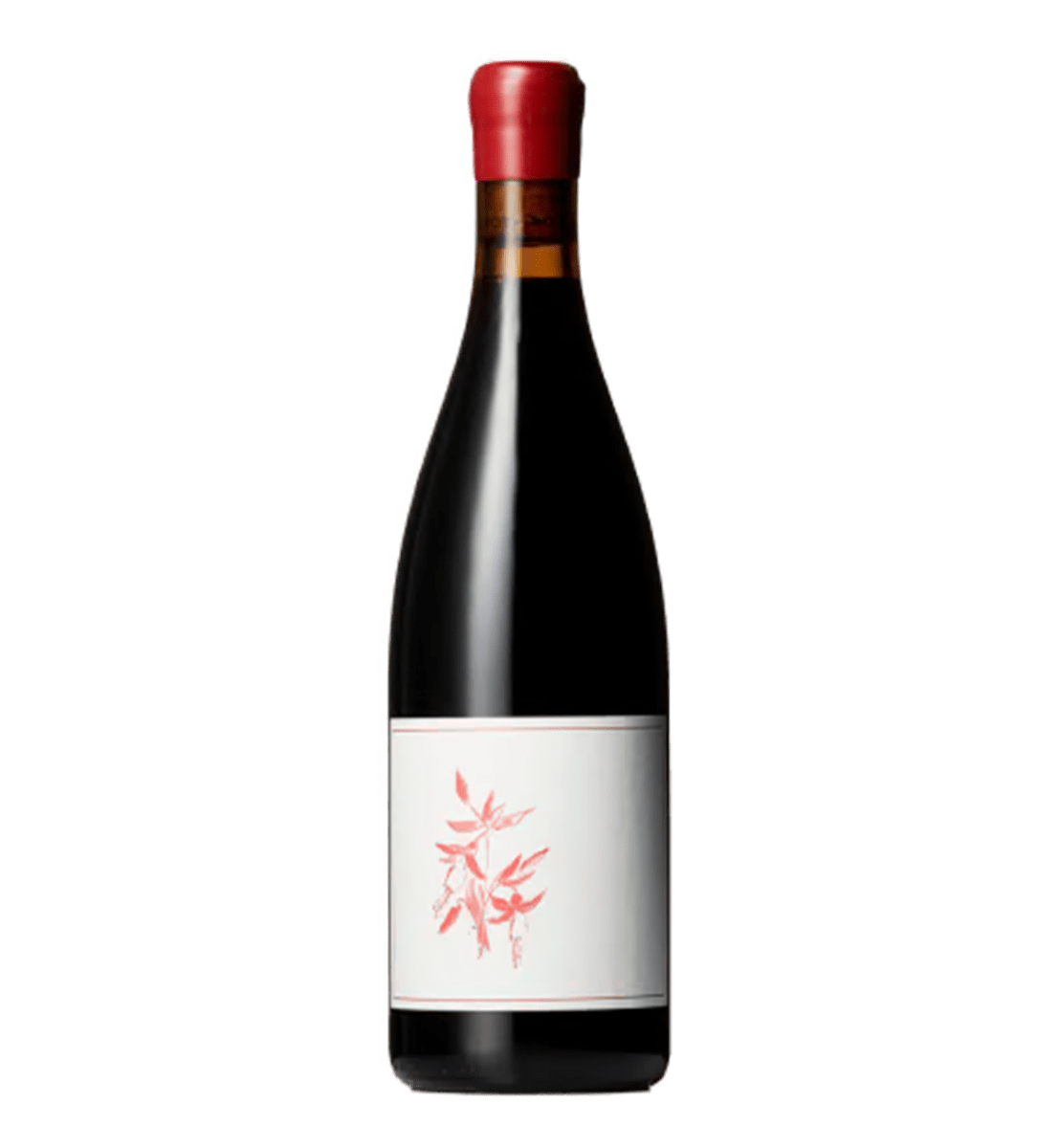 Arnot-Roberts Pinot Noir Fox Creek Carmel Valley 2023
