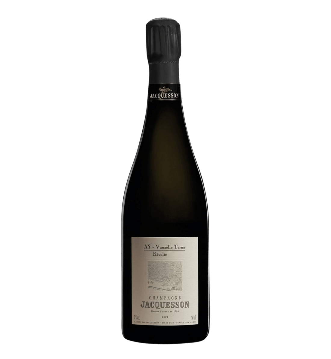 Jacquesson Vauzelle Terme Extra Brut Récolte, Aÿ 2009 Magnum