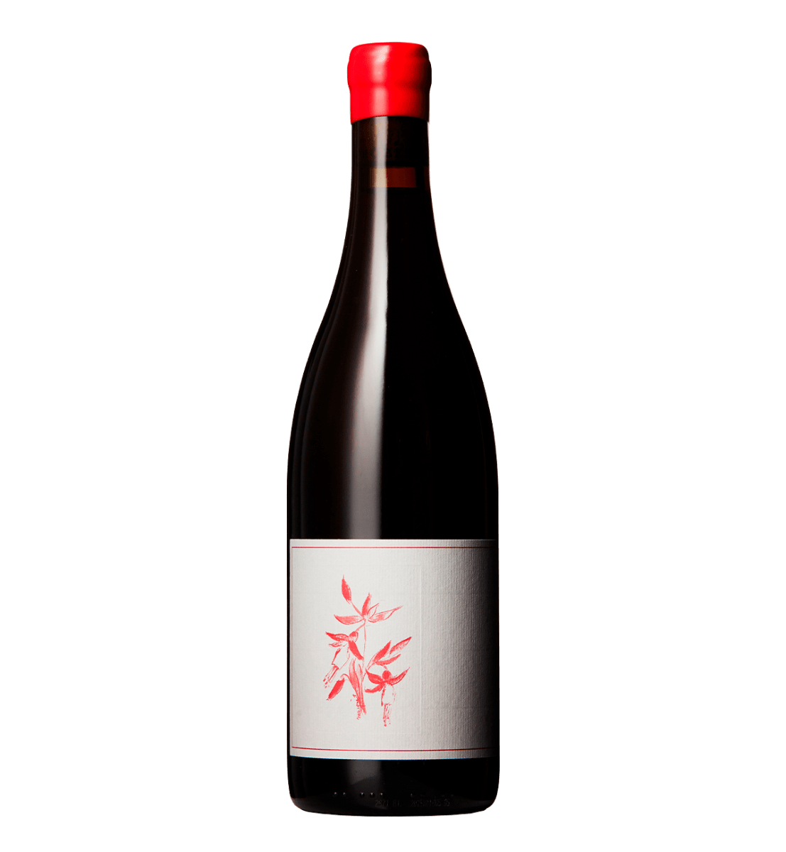 Syrah, Que Syrah Vineyard 2021