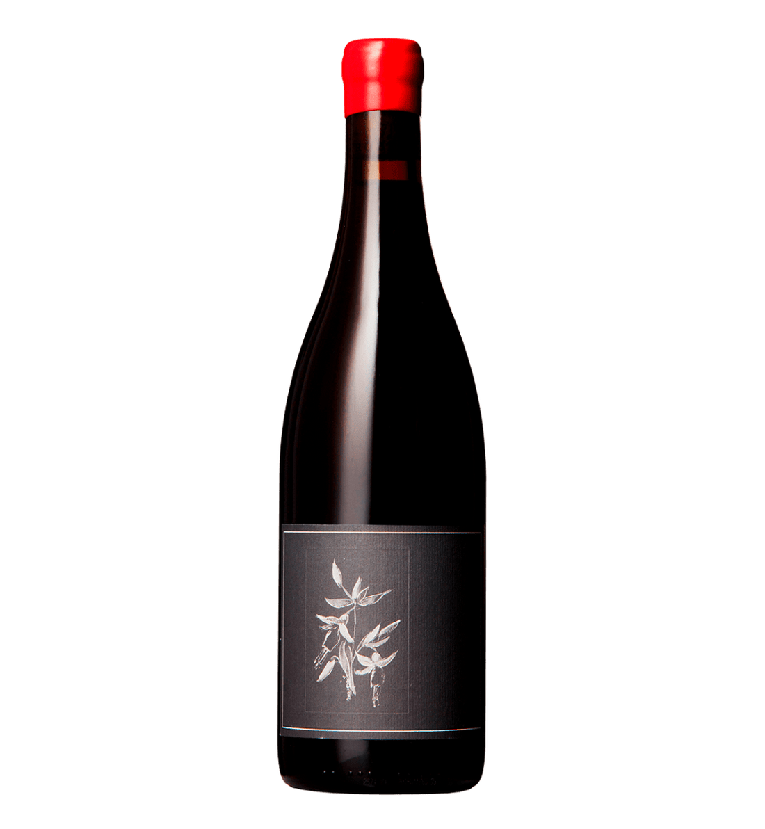 Arnot-Roberts Trousseau 2023