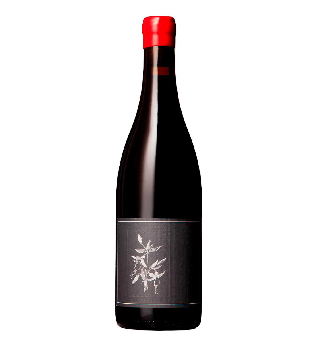 Arnot-Roberts Trousseau 2023